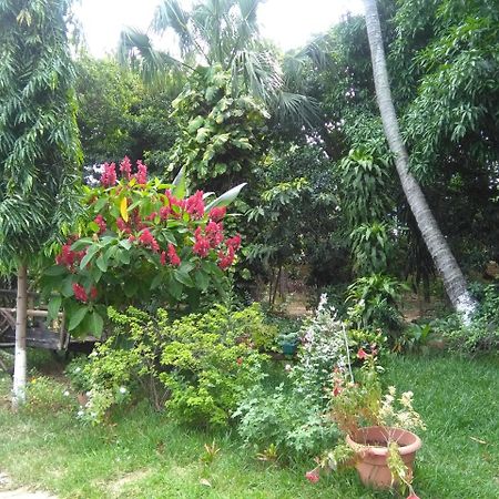 Hostal Casa Vieja Chiquimula Екстер'єр фото