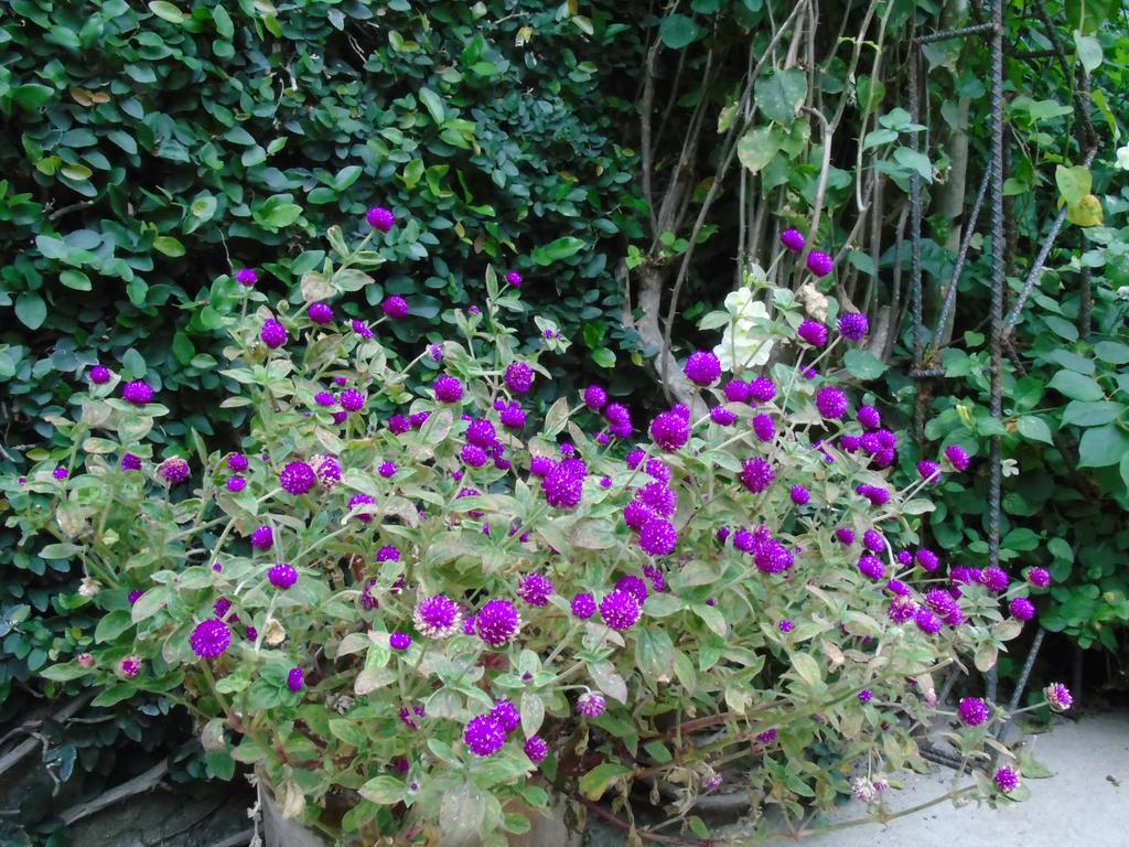 Hostal Casa Vieja Chiquimula Екстер'єр фото