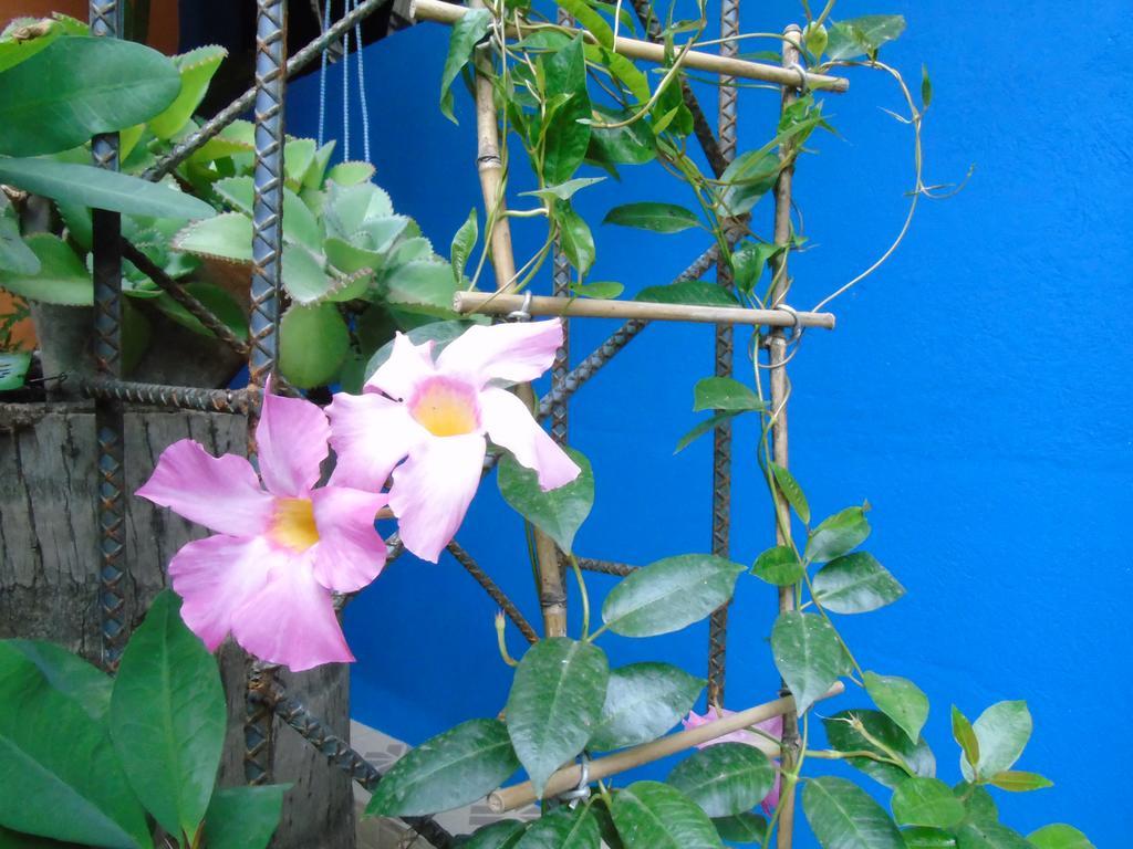 Hostal Casa Vieja Chiquimula Екстер'єр фото