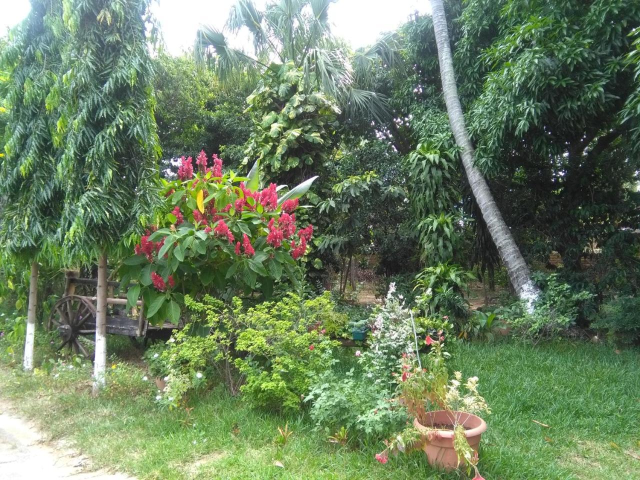 Hostal Casa Vieja Chiquimula Екстер'єр фото